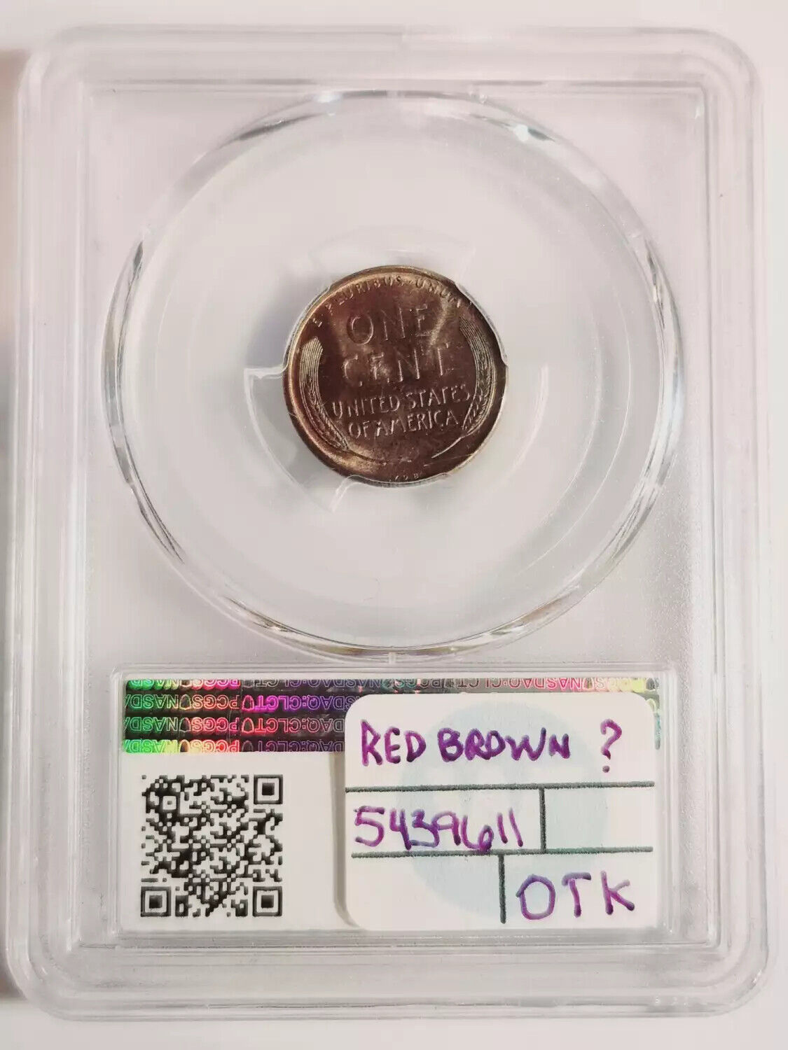 1909 P VDB Small Cents Lincoln PCGS MS-65 BN CAC looks rB Doubled Die Obverse