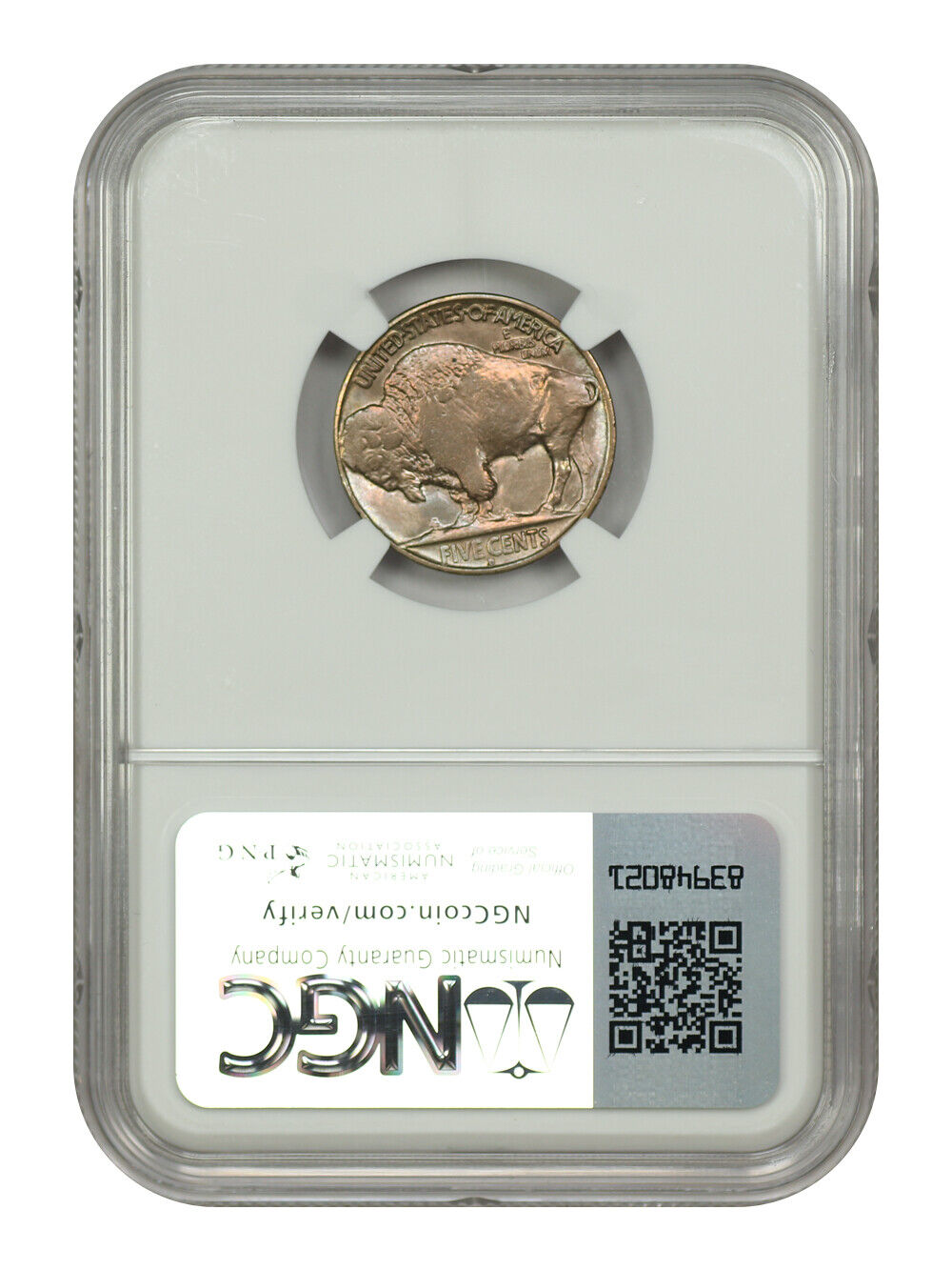 1934-D 5C NGC MS64 - Buffalo Nickel