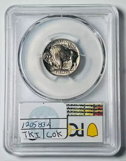 1913 P Buffalo Nickel PCGS MS-66 CAC Type 1