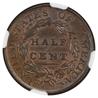 1809 1/2C NGC MS64BN - Classic Head Half Cent