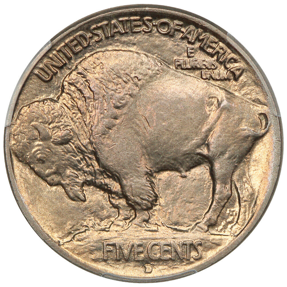 1913-D 5C CACG MS66 (Type 1) - Buffalo Nickel - Highly Lustrous