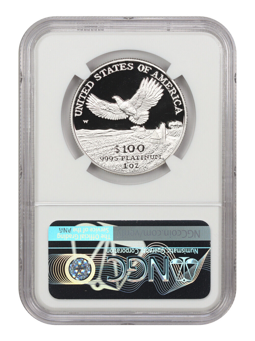 Mint Error: 2000-W Platinum Eagle $100 NGC Proof 69 UCAM (Obverse Struck Thru)