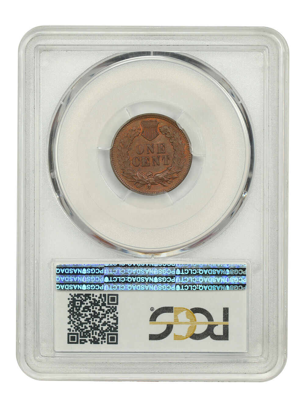 1901 1C PCGS MS65BN - Indian Cent