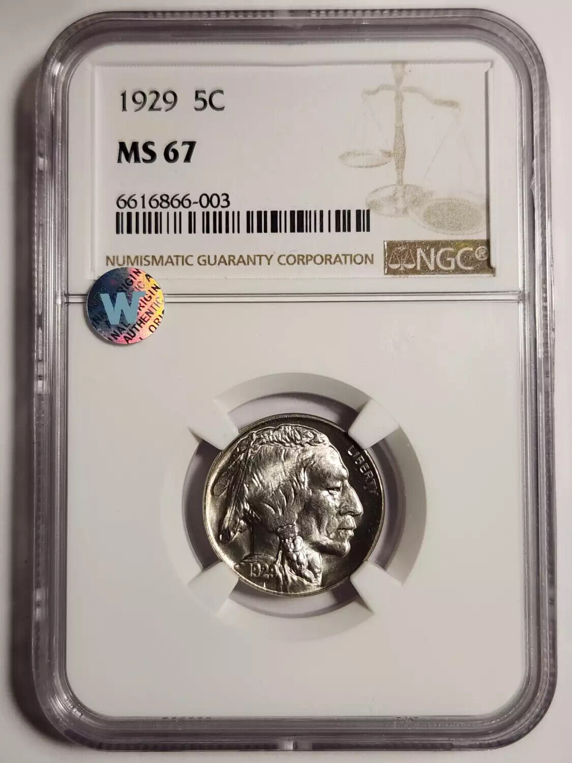 1929 P Indian Buffalo NGC MS-67 Sight White