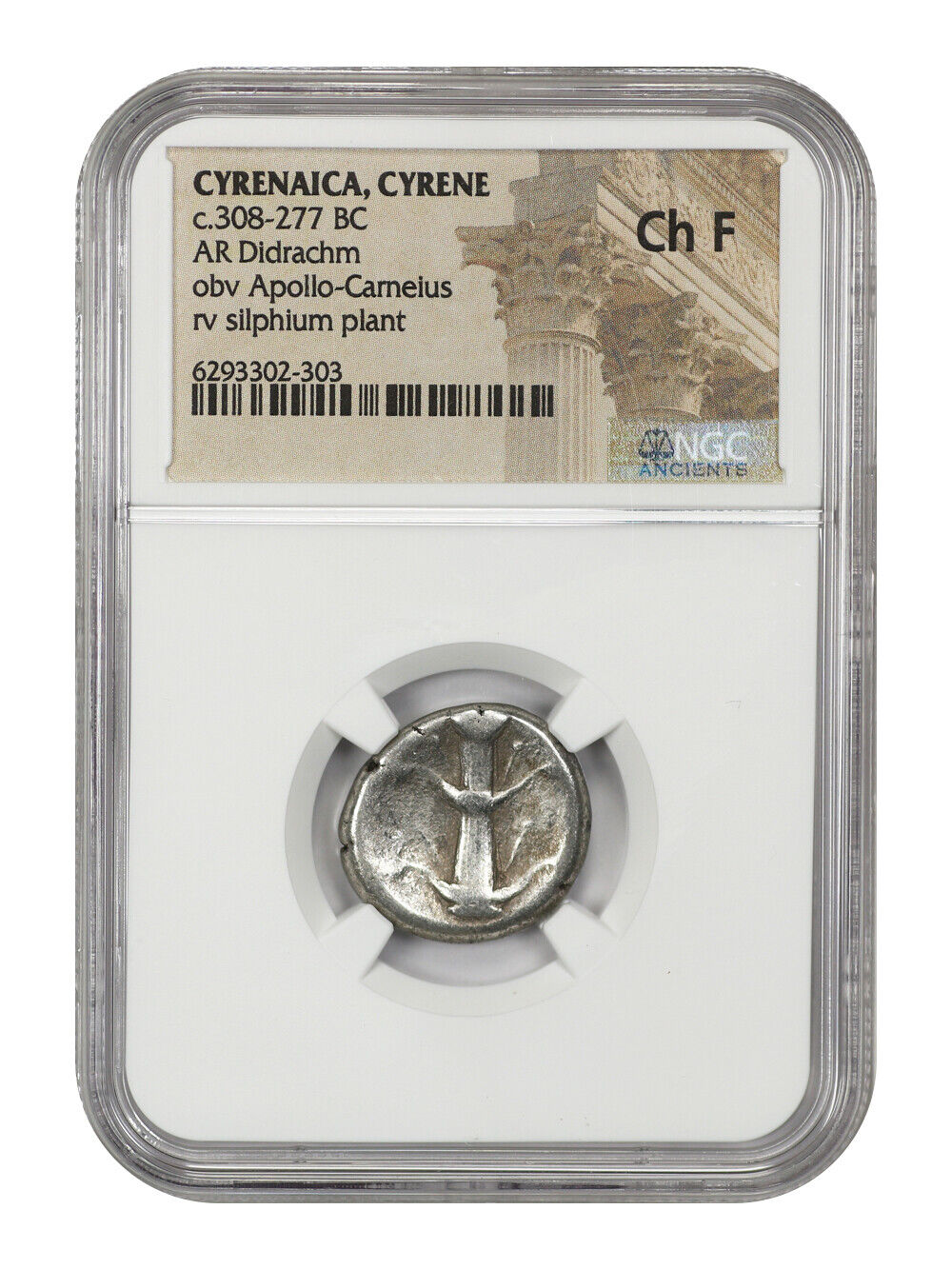 Ancient Roman: (c.308-277 BC) AR Didrachm NGC Choice Fine (Cyrenaica, Cyrene)