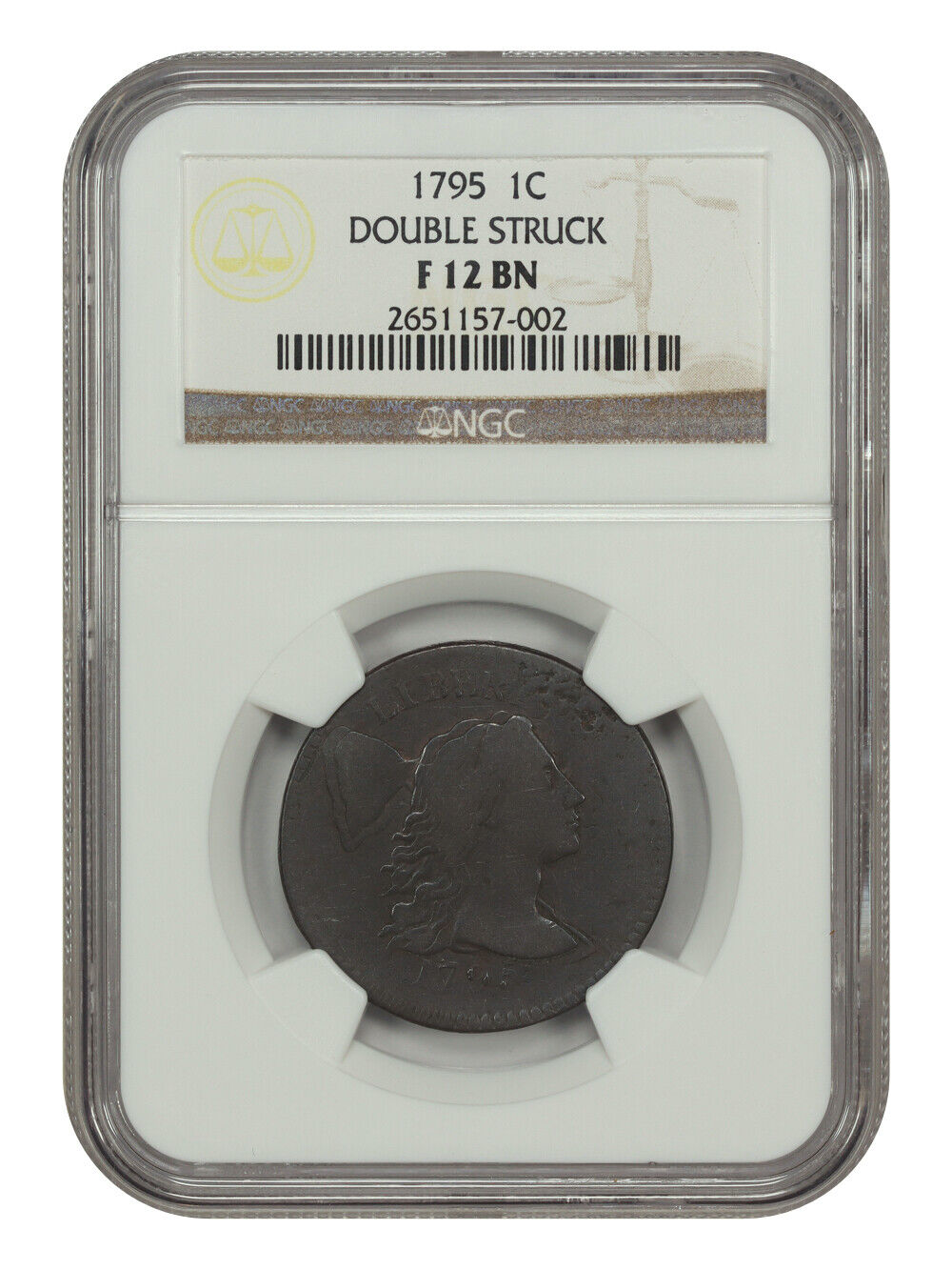 Mint Error: 1795 1C NGC Fine 12 (Double Struck) - Flowing Hair Large Cent