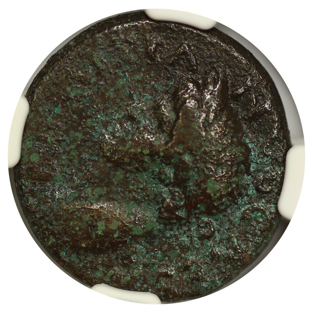 Ancient Roman: Domitian (AD 81-96) AE27 NGC VF (Syria, Antioch)