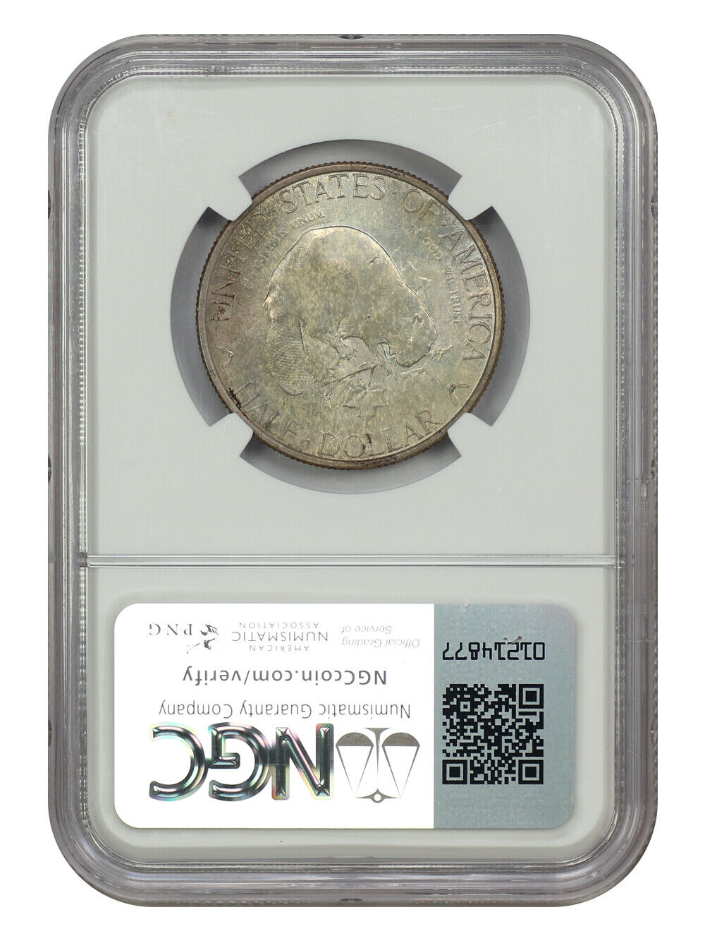 1936 50C Albany NGC MS64 - Classic Silver Commemorative - Low Mintage Issue