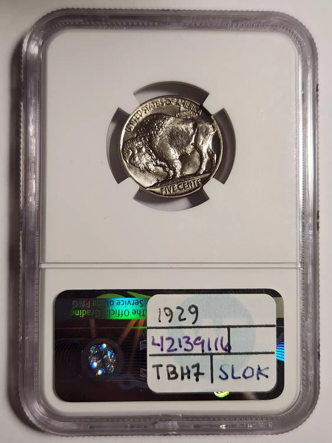 1929 P Indian Buffalo NGC MS-67 Sight White