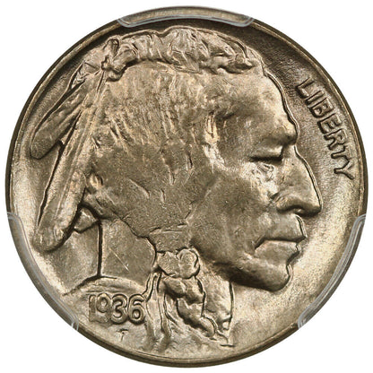 1936-D 5C CACG MS65 - Buffalo Nickel