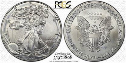 2018 P Silver Eagles PCGS MS-66 Struck-Thru Obverse