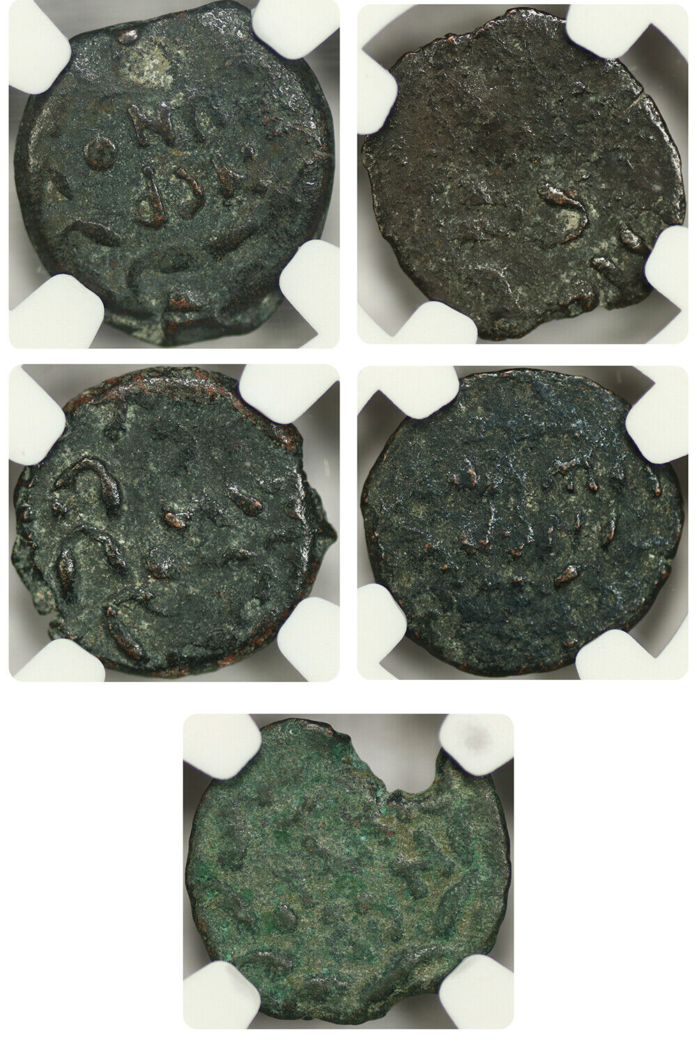 Lot of 5 Roman Governors of Judaea: AD 59-62 AE Prutah NGC F/VF Porcius Festus