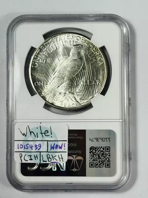 1924 S Peace Dollar NGC MS-64+ White Coin! PQ!!!