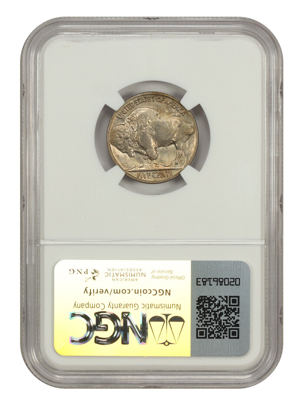 1920 5C NGC MS66 - Buffalo Nickel