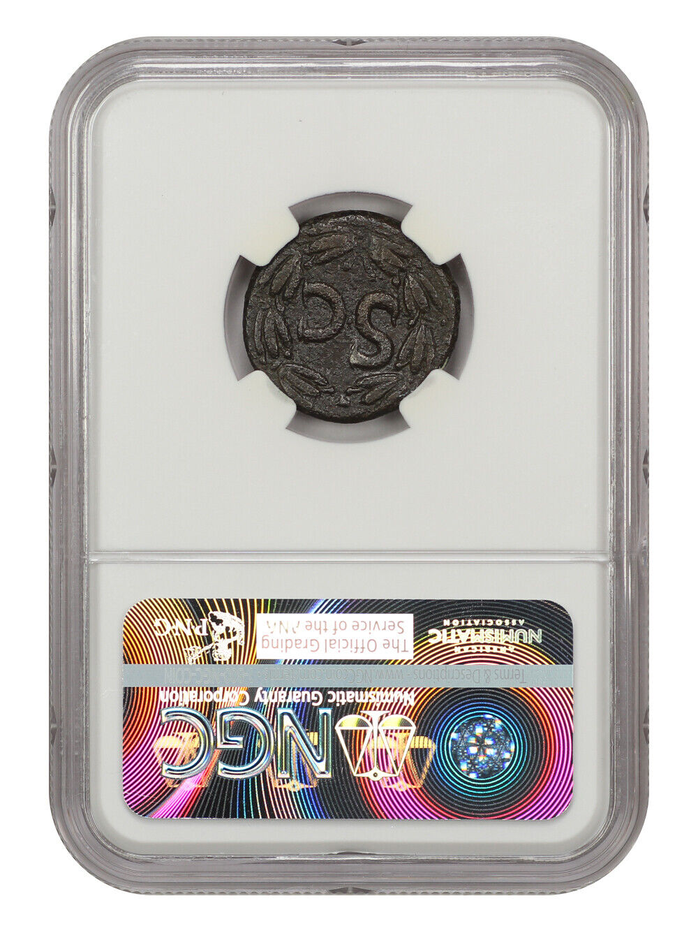 Ancient Roman: Domitian (AD 81-96) AE27 NGC VF (Syria, Antioch)