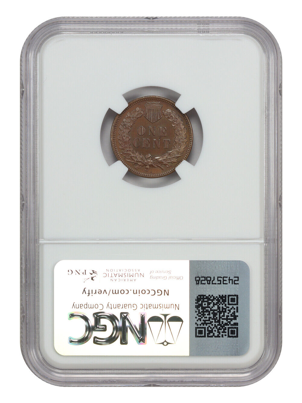 1880 1C NGC PR64BN - Indian Cent