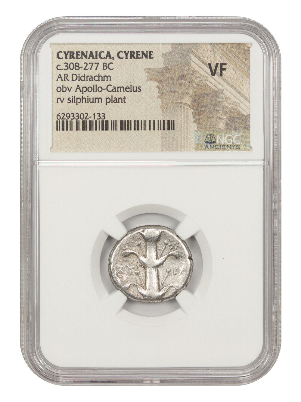 Ancient Greek: (c.308-277 BC) AR Didrachm NGC VF (Cyrenaica, Cyrene)