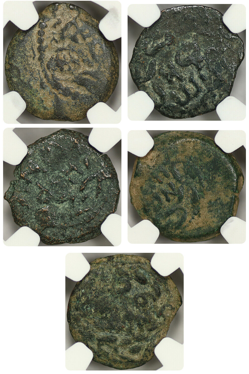 Lot of 5 Roman Governors of Judaea: AD 59-62 AE Prutah NGC F Porcius Festus