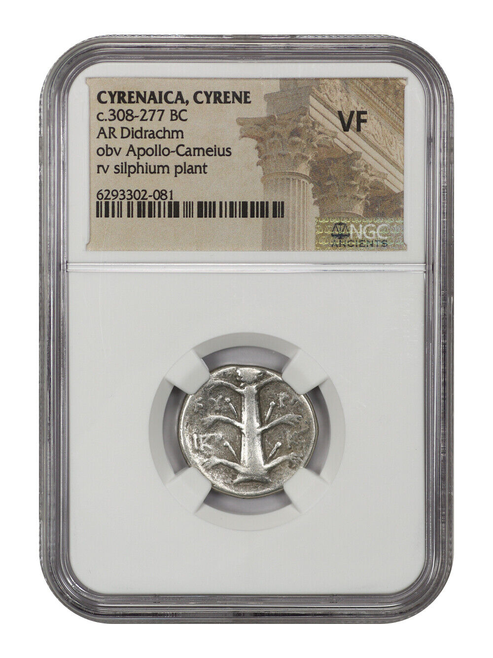 Ancient Roman: (c.308-277 BC) AR Didrachm NGC VF (Cyrenaica, Cyrene)