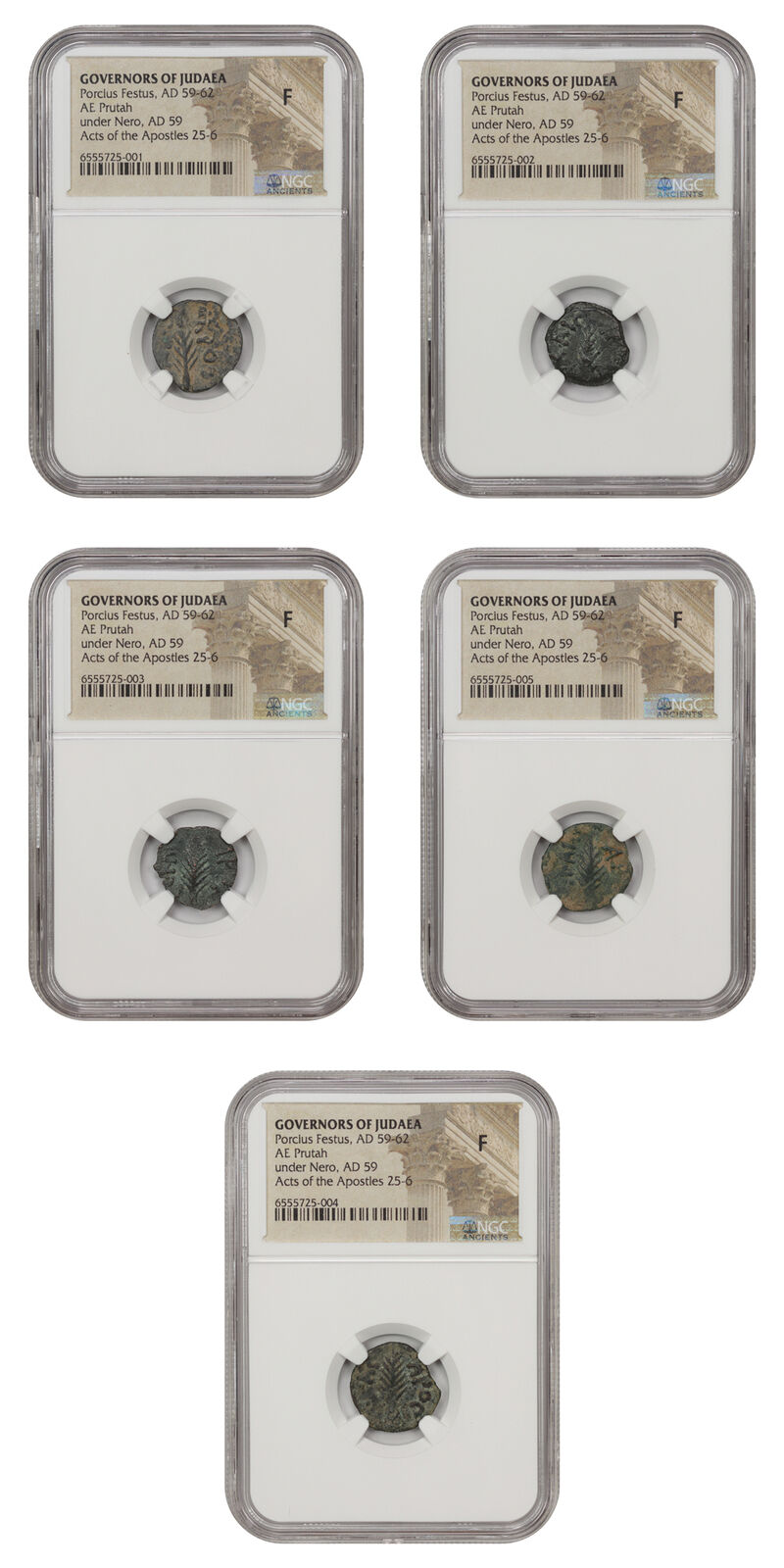 Lot of 5 Roman Governors of Judaea: AD 59-62 AE Prutah NGC F Porcius Festus