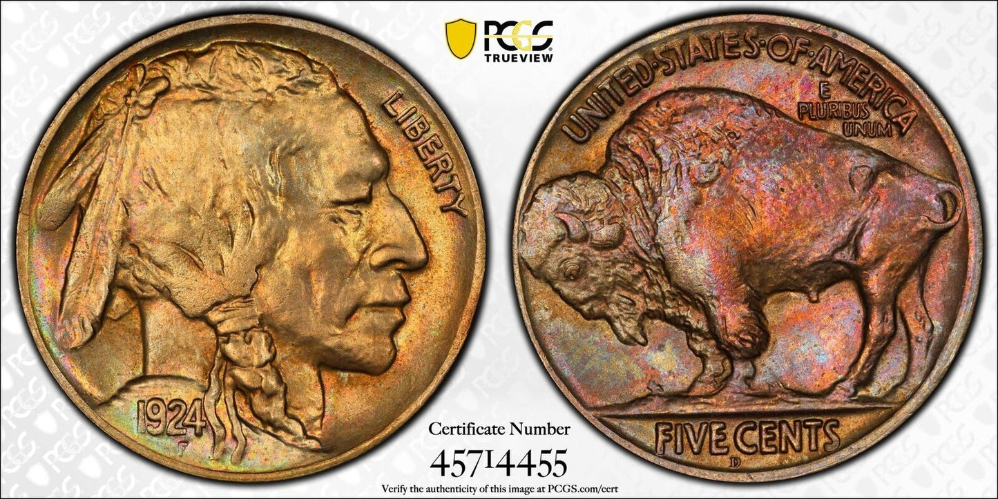 1924-D 5C Buffalo Nickel PCGS MS65+