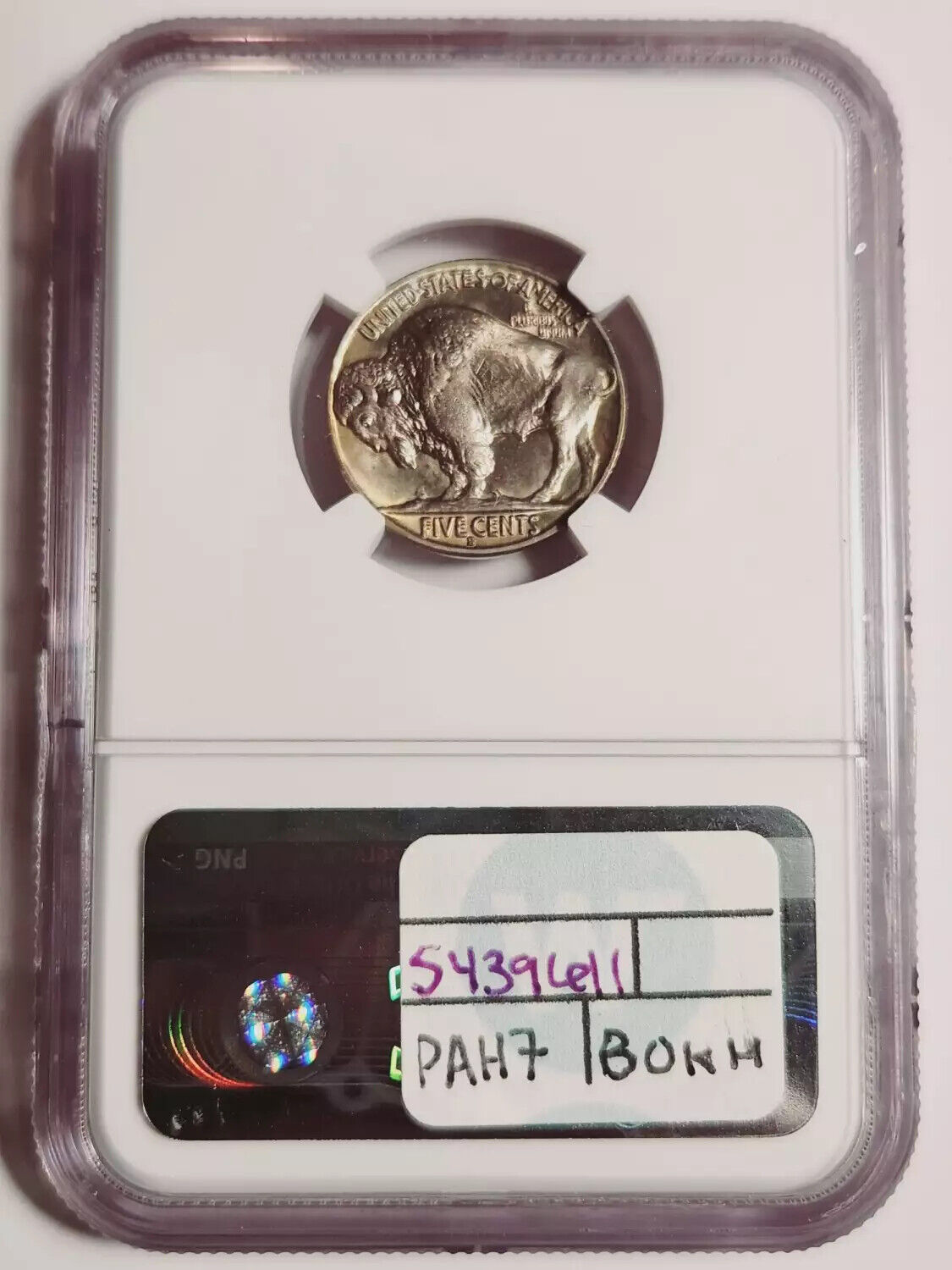 1931 S Indian Buffalo NGC MS-66+